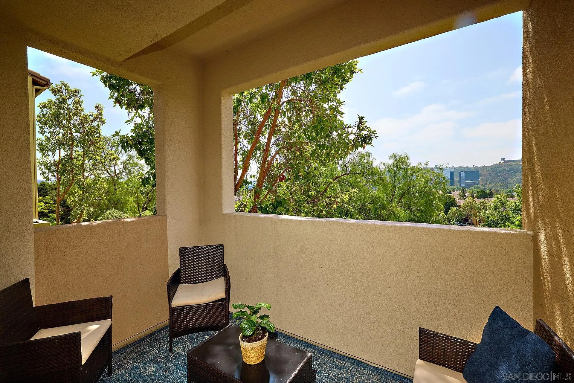 Photo #6: 240016551 Listing 