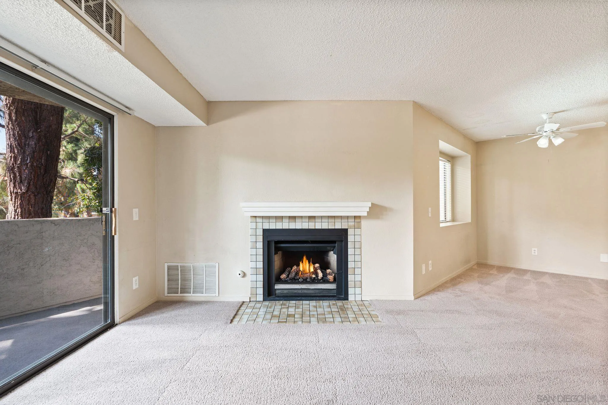 Photo #5: 240018392 Listing 