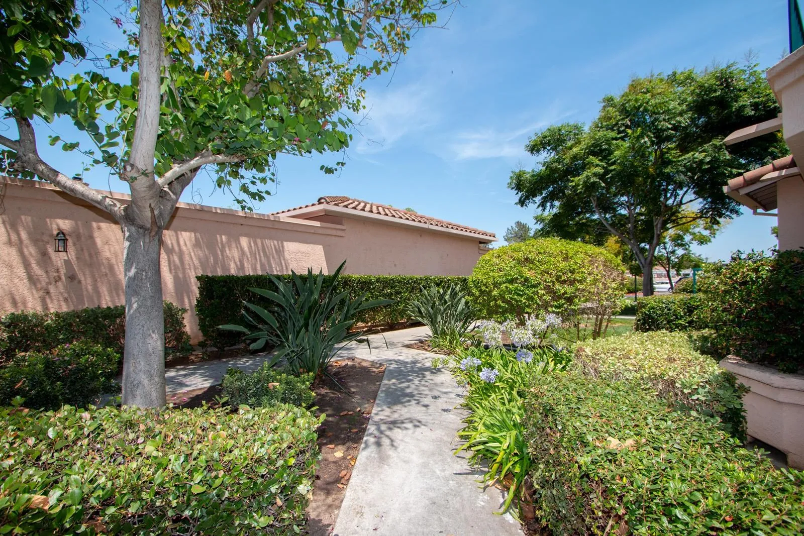 Photo #2: 240018436 Listing 
