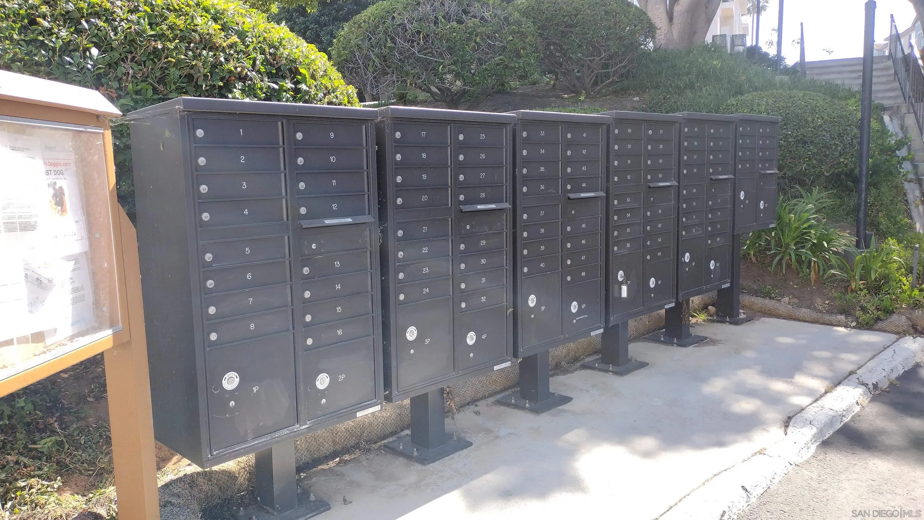 Photo #5: 240022022 Listing 