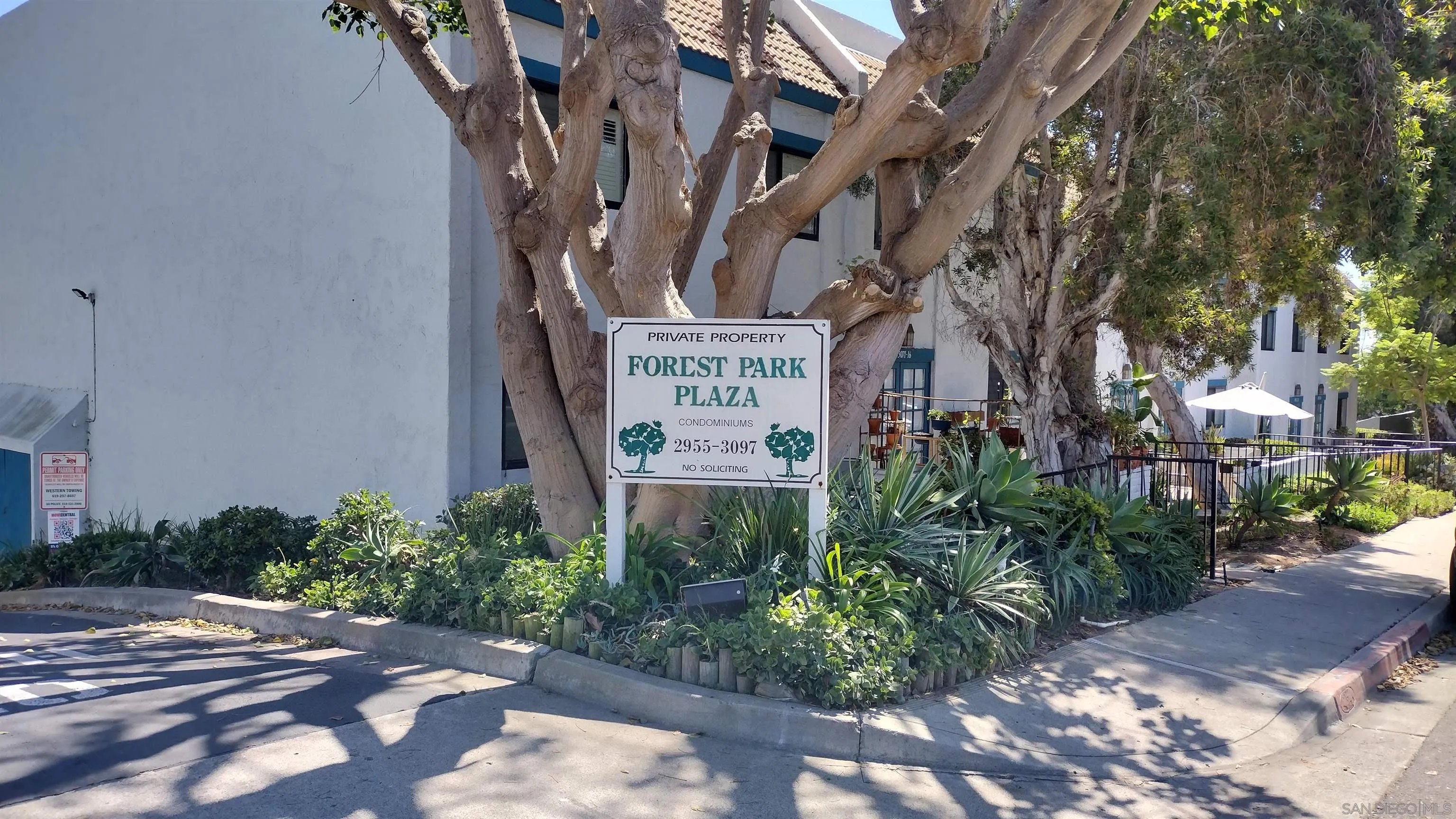 Photo #3: 240022022 Listing 