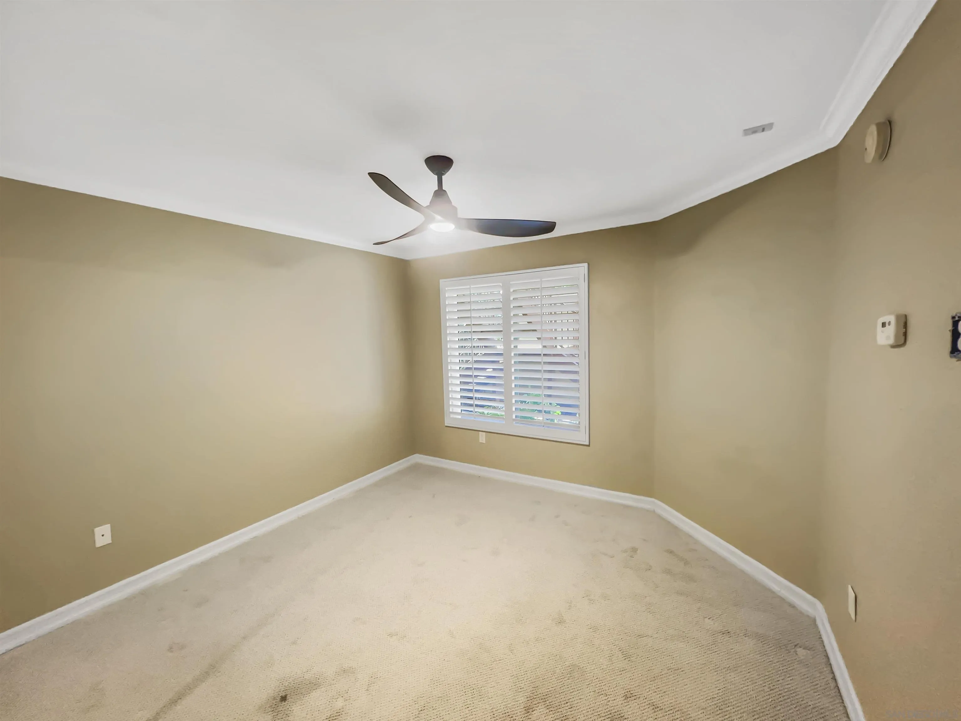 Photo #5: 240028143 Listing 