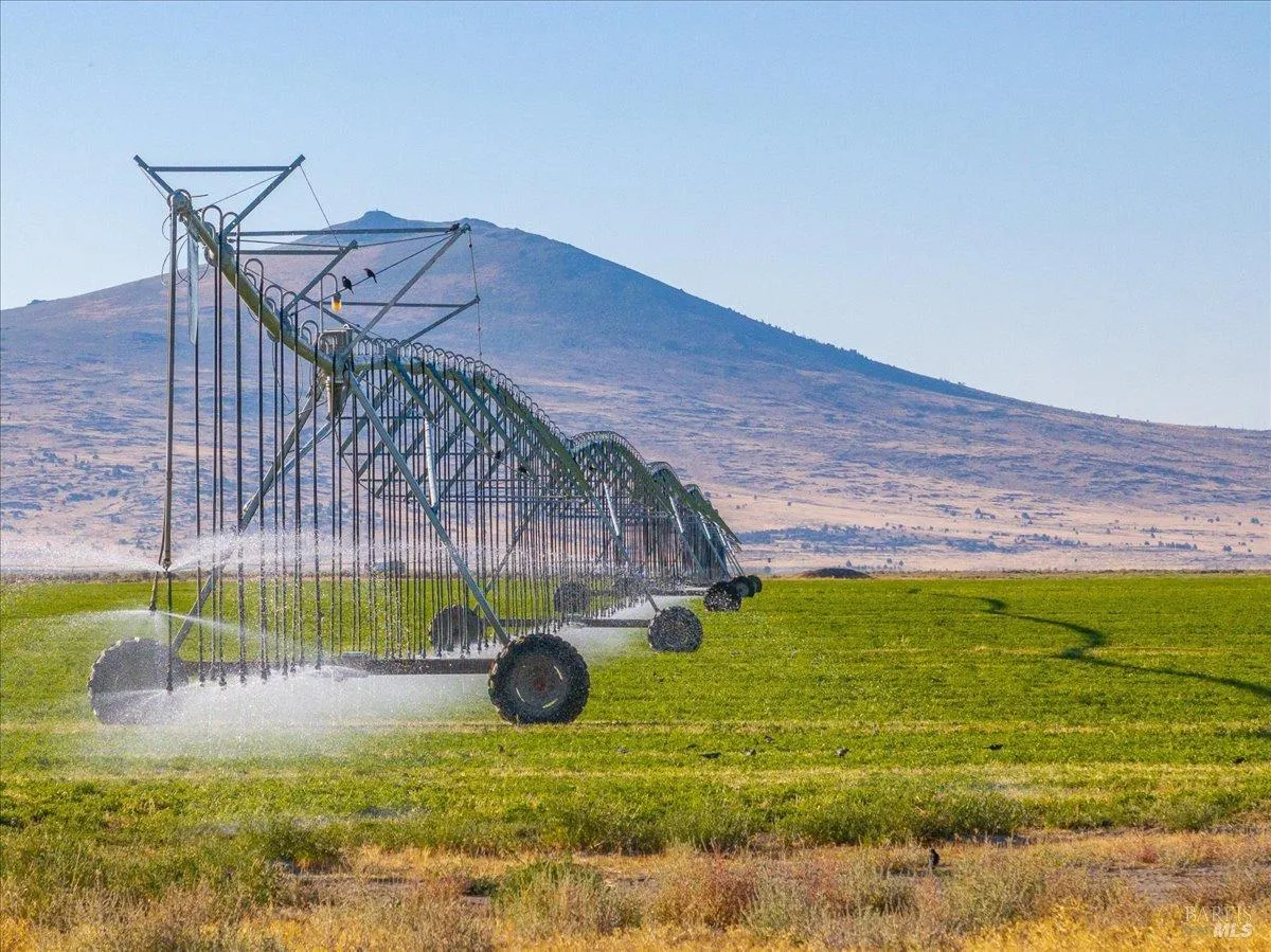 650 Tuledad Road - in Ravendale, CA