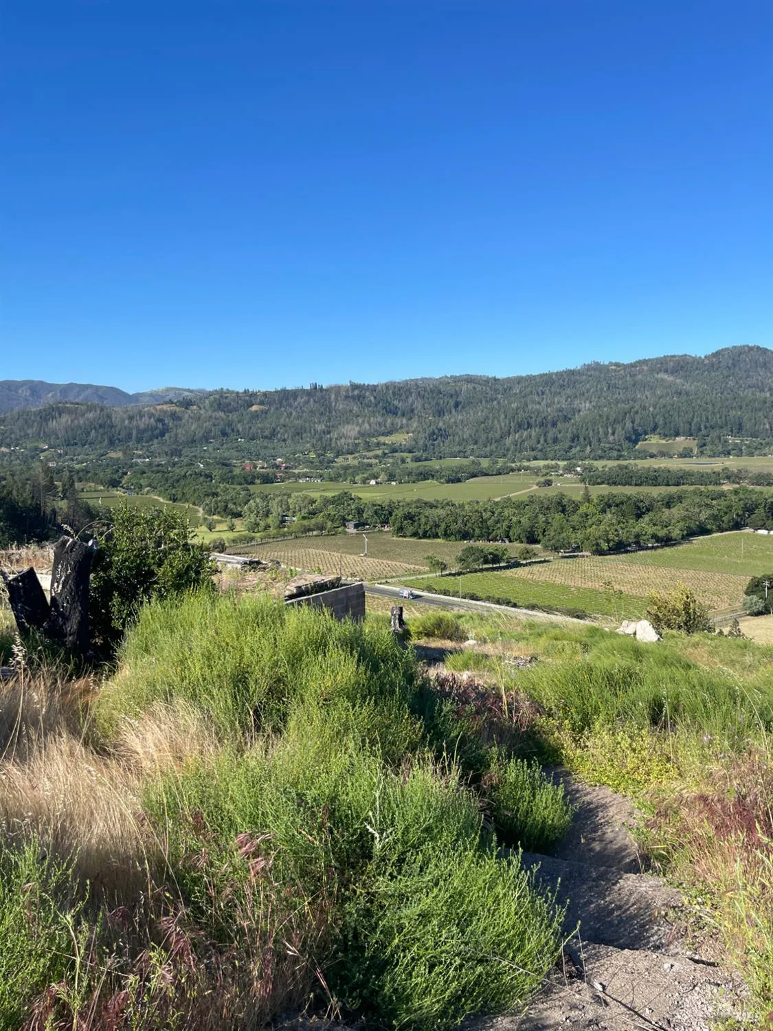 3502 Silverado N Trail - 1bd, 1,066 sqft - in St. Helena, CA