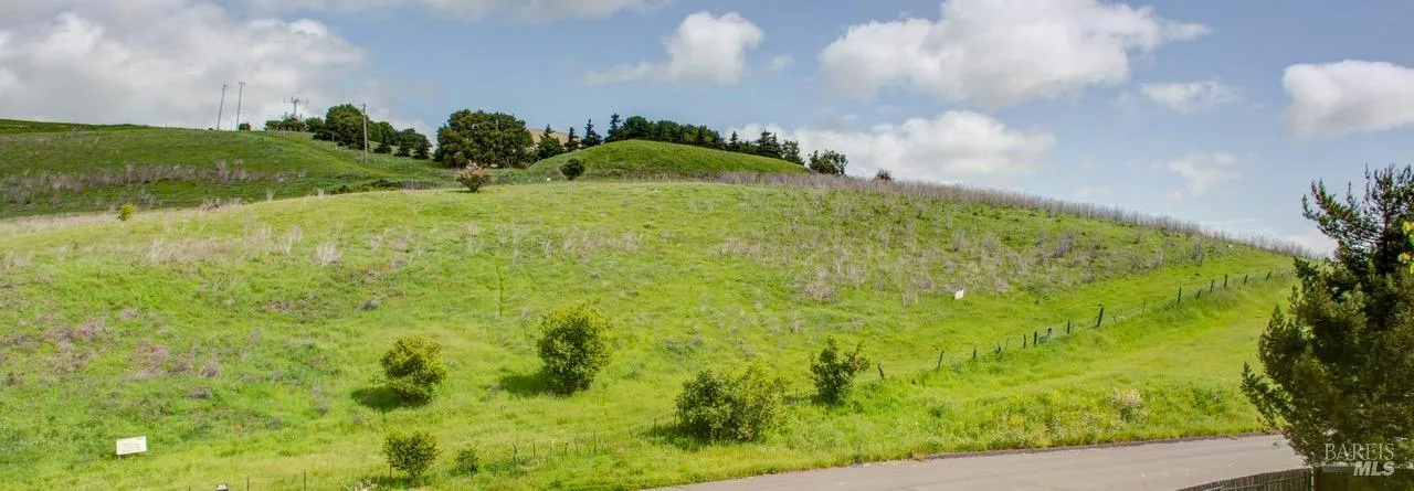 Eucalyptus Drive - in American Canyon, CA
