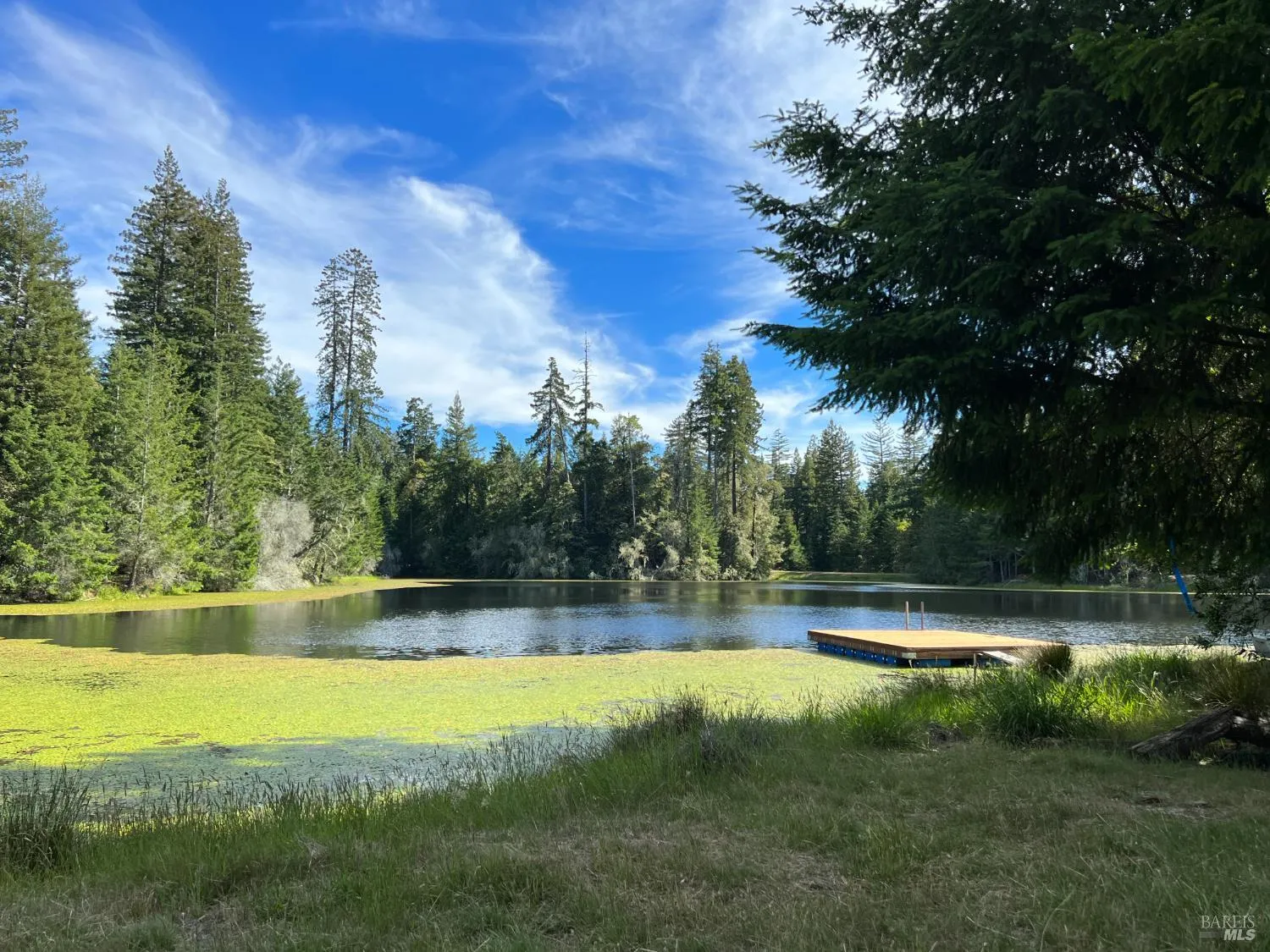 31010 Stewarts Point-skaggs Springs Road - 5bd/2ba, 2,229 sqft - in Stewarts Point, CA