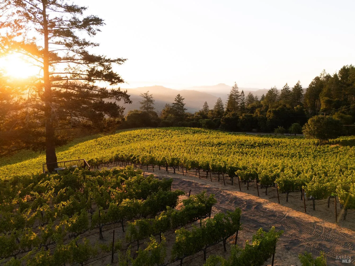 316 Wall Road - in Napa, CA