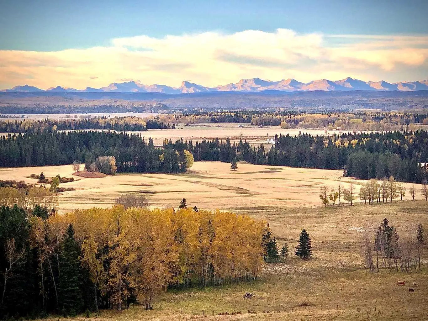 6029 Township Road 332, Mountain View County