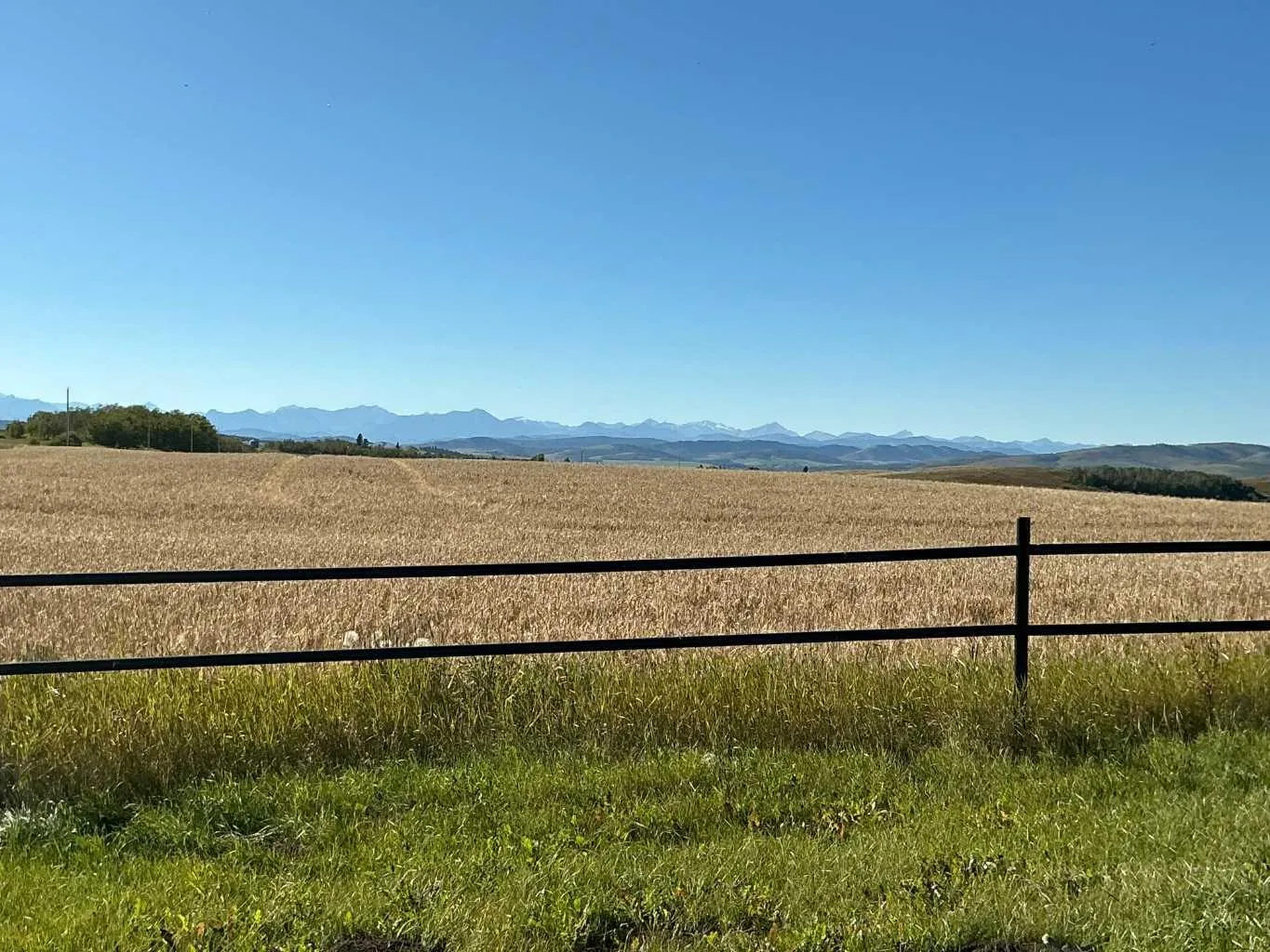 450002 Highway 22 Highway Unit 200, Foothills County