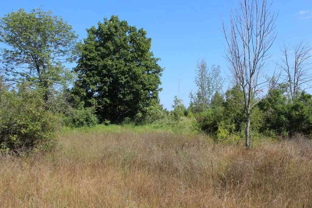 Lot A2 Humbug Rd, Ellison Bay, Wisconsin 54210, ,Unimproved Land,For Sale,Humbug Rd,144525