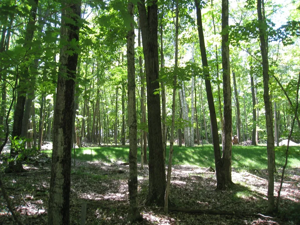 Lot 1 Birch Ln, Sturgeon Bay Wi 54235, ,Unimproved Land,For Sale,Birch Ln,142964