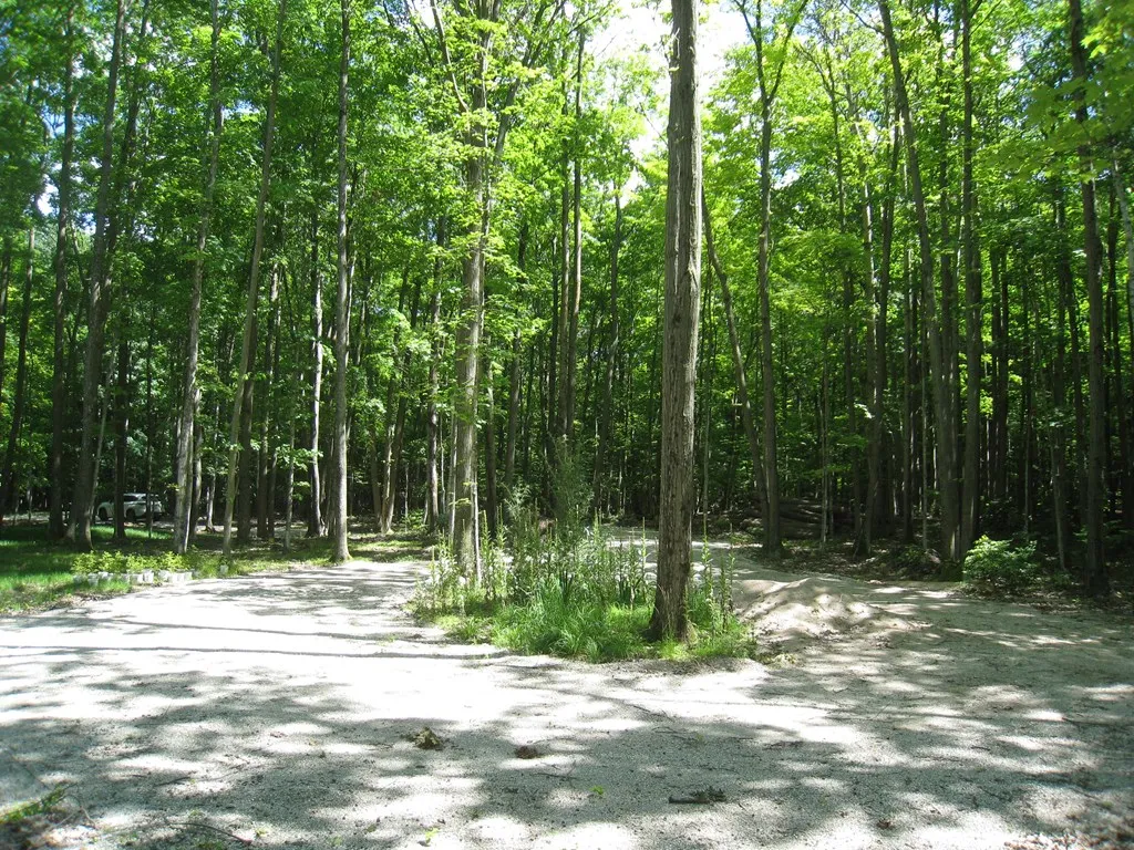 Lot 1 Birch Ln, Sturgeon Bay Wi 54235, ,Unimproved Land,For Sale,Birch Ln,142964
