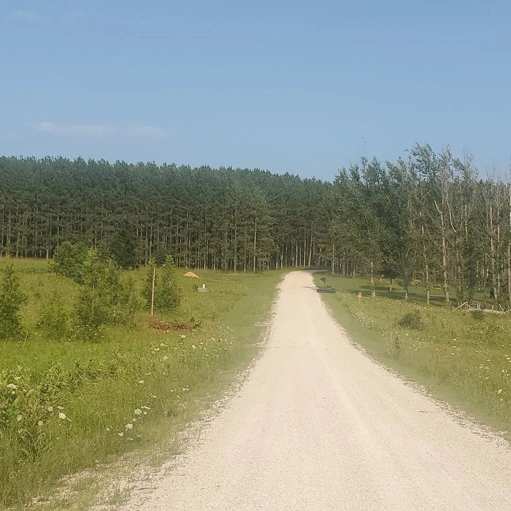 7124 Jack Pine Rd, Jacksonport Wi 54235, ,Unimproved Land,For Sale,Jack Pine Rd,142984