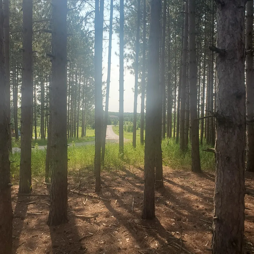 7124 Jack Pine Rd, Jacksonport Wi 54235, ,Unimproved Land,For Sale,Jack Pine Rd,142984