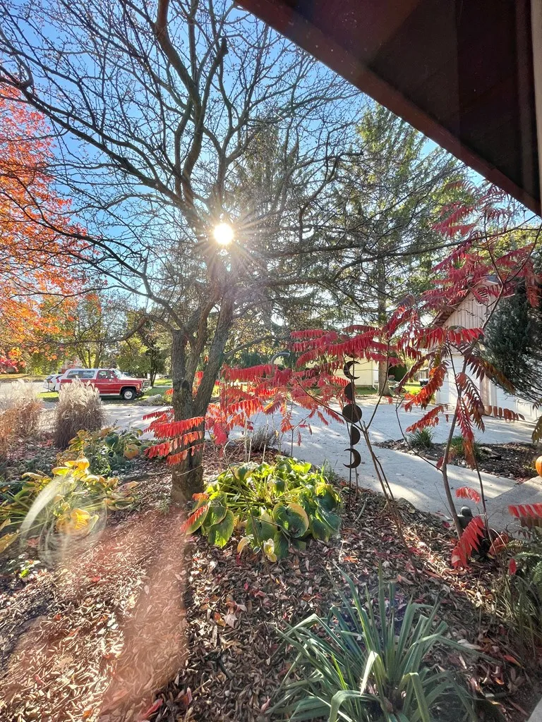 801 S 16th Ct, Sturgeon Bay Wi 54235, 3 Bedrooms Bedrooms, ,3 BathroomsBathrooms,Inland-Residential,For Sale,S 16th Ct,141143