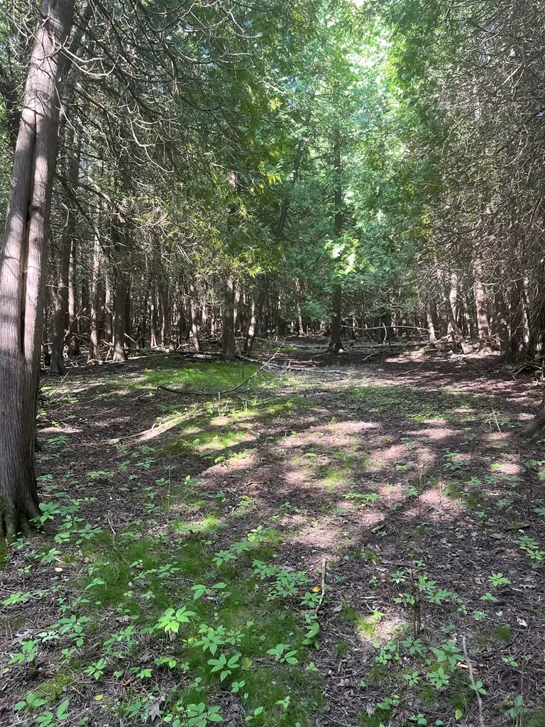 Bay Shore Dr, Town Of Egg Harbor, Wisconsin 54209, ,Unimproved Land,For Sale,Bay Shore Dr,144455