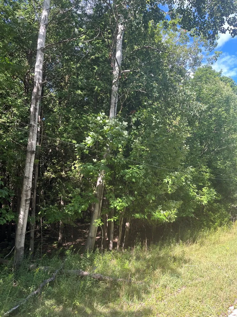 Bay Shore Dr, Town Of Egg Harbor, Wisconsin 54209, ,Unimproved Land,For Sale,Bay Shore Dr,144455