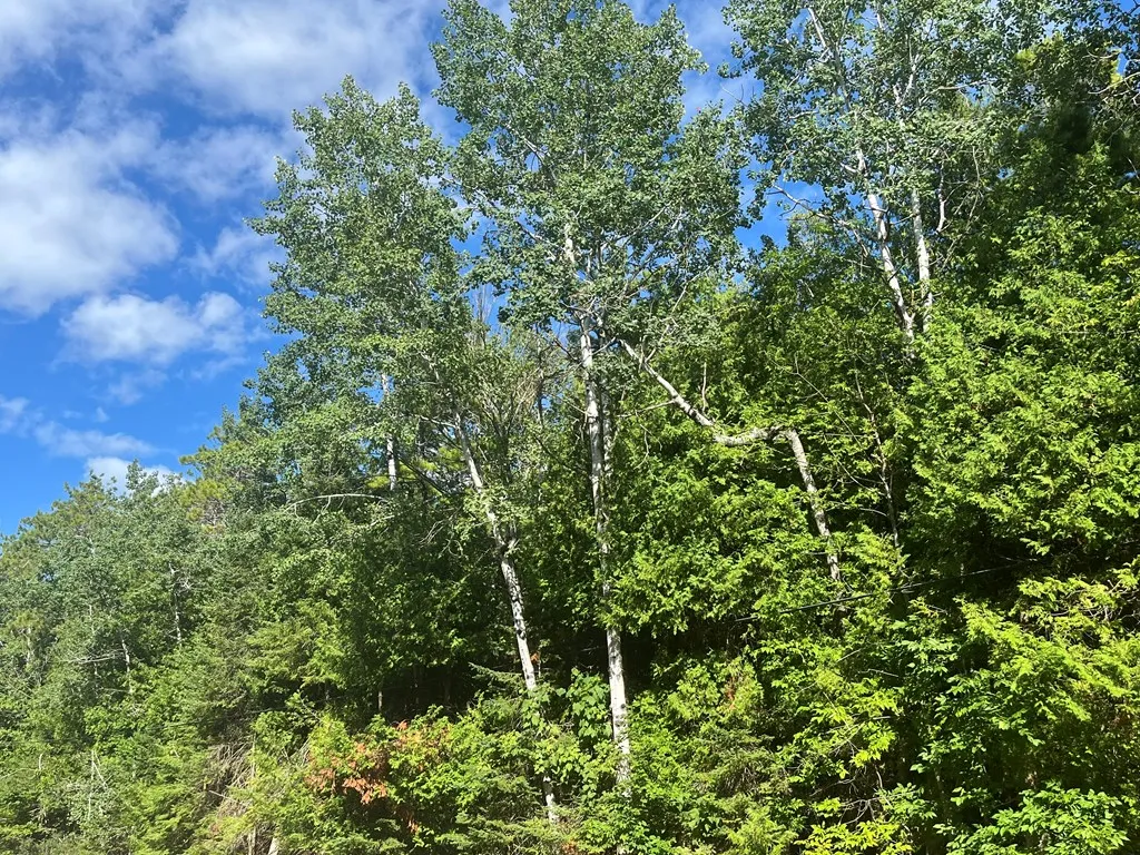 Bay Shore Dr, Town Of Egg Harbor, Wisconsin 54209, ,Unimproved Land,For Sale,Bay Shore Dr,144455