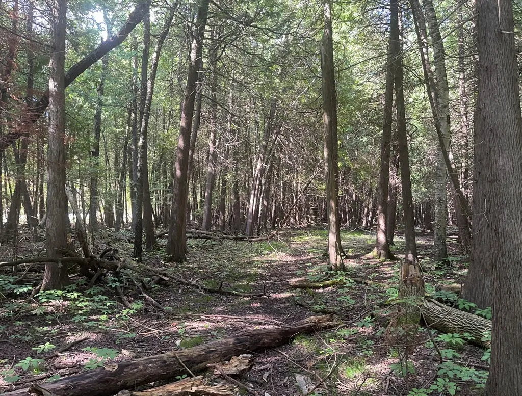 Bay Shore Dr, Town Of Egg Harbor, Wisconsin 54209, ,Unimproved Land,For Sale,Bay Shore Dr,144455