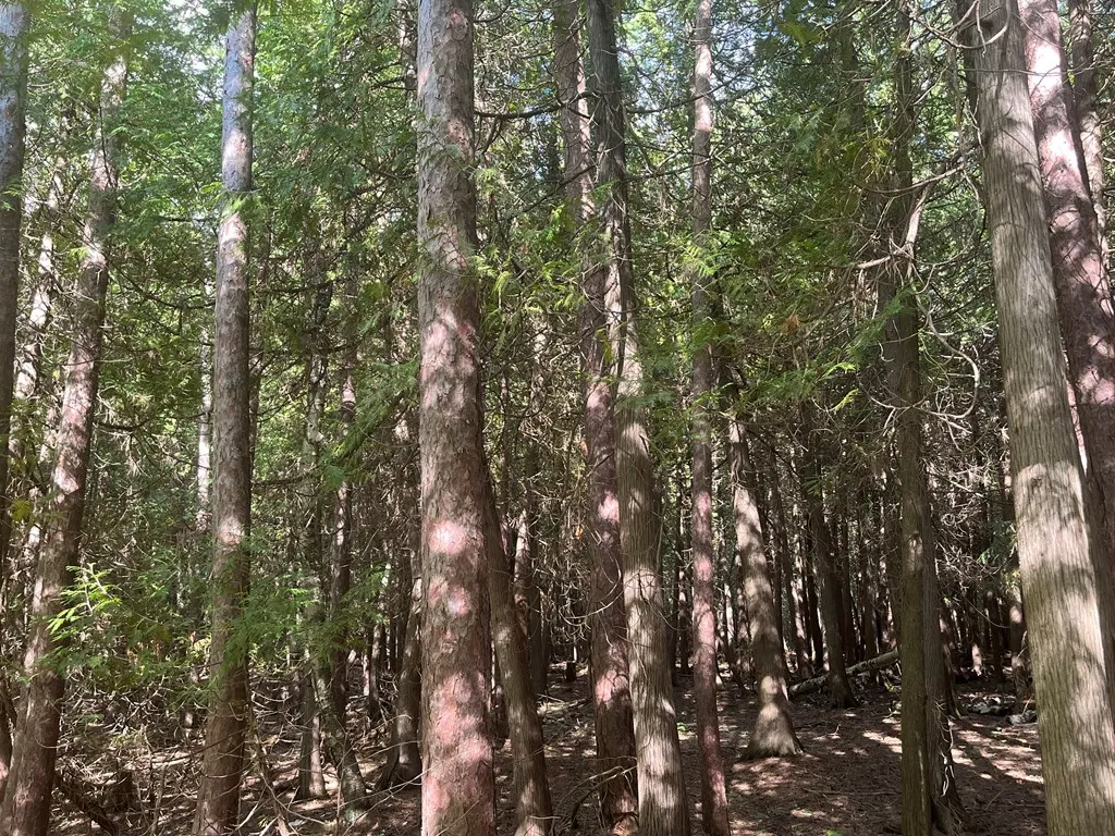 Bay Shore Dr, Town Of Egg Harbor, Wisconsin 54209, ,Unimproved Land,For Sale,Bay Shore Dr,144455