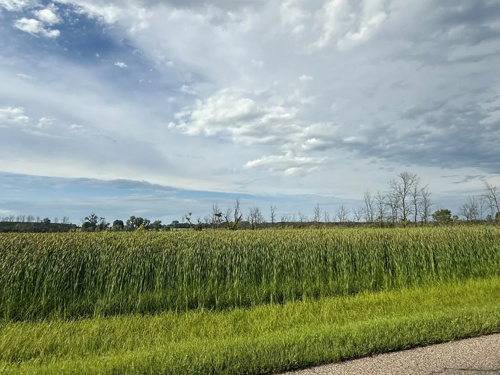 Tbd Lovers Ln, Brussels, Wisconsin 54202, ,Unimproved Land,For Sale,Lovers Ln,144234