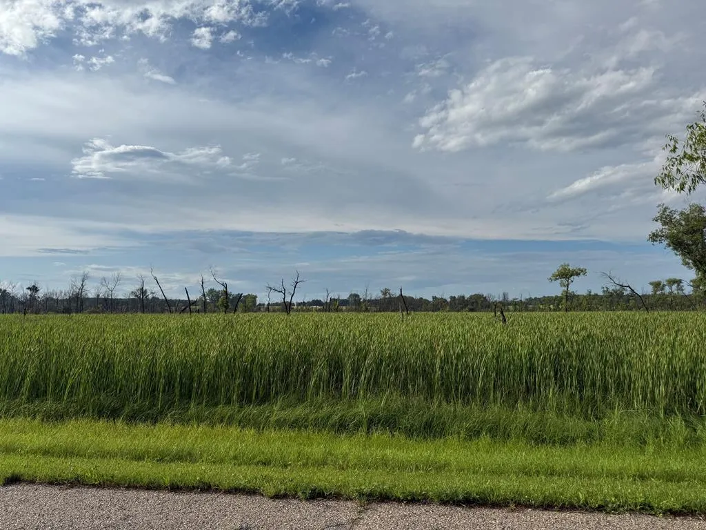Tbd Lovers Ln, Brussels, Wisconsin 54202, ,Unimproved Land,For Sale,Lovers Ln,144234