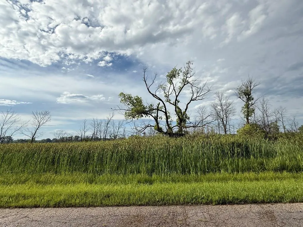 Tbd Lovers Ln, Brussels, Wisconsin 54202, ,Unimproved Land,For Sale,Lovers Ln,144234