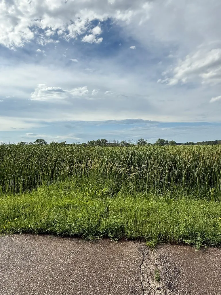 Tbd Lovers Ln, Brussels, Wisconsin 54202, ,Unimproved Land,For Sale,Lovers Ln,144234