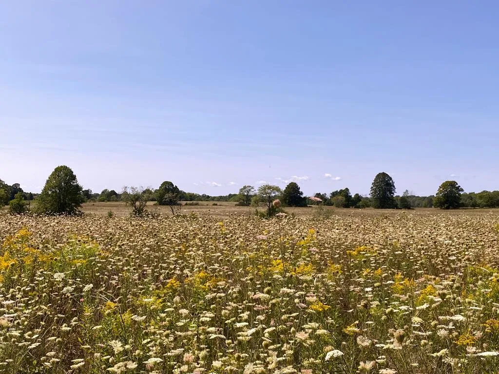 County Rd F, Fish Creek Wi 54212, ,Unimproved Land,For Sale,County Rd F,143120
