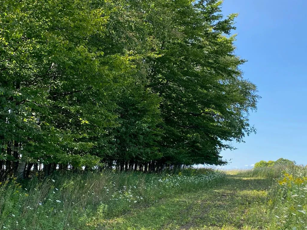 County Rd F, Fish Creek Wi 54212, ,Unimproved Land,For Sale,County Rd F,143120
