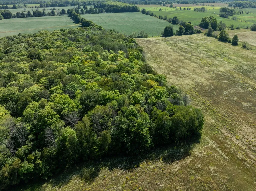 County Rd F, Fish Creek Wi 54212, ,Unimproved Land,For Sale,County Rd F,143120