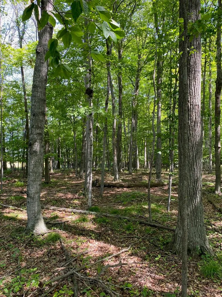 County Rd F, Fish Creek Wi 54212, ,Unimproved Land,For Sale,County Rd F,143120