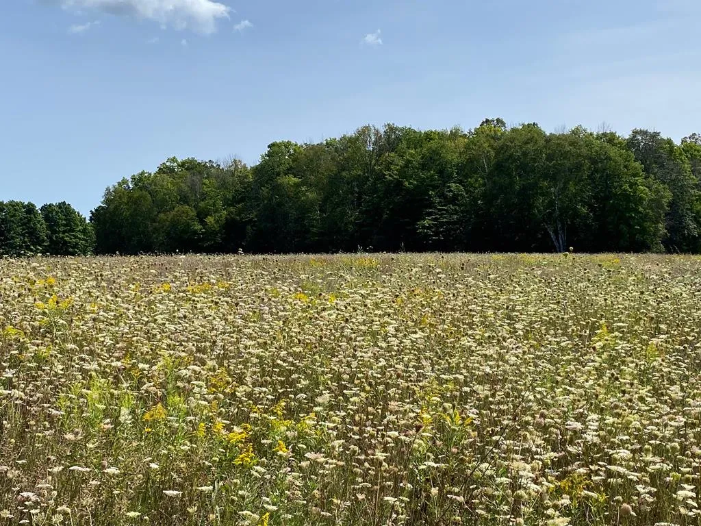 County Rd F, Fish Creek Wi 54212, ,Unimproved Land,For Sale,County Rd F,143120