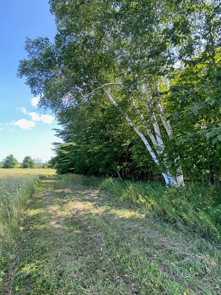 County Rd F, Fish Creek Wi 54212, ,Unimproved Land,For Sale,County Rd F,143120