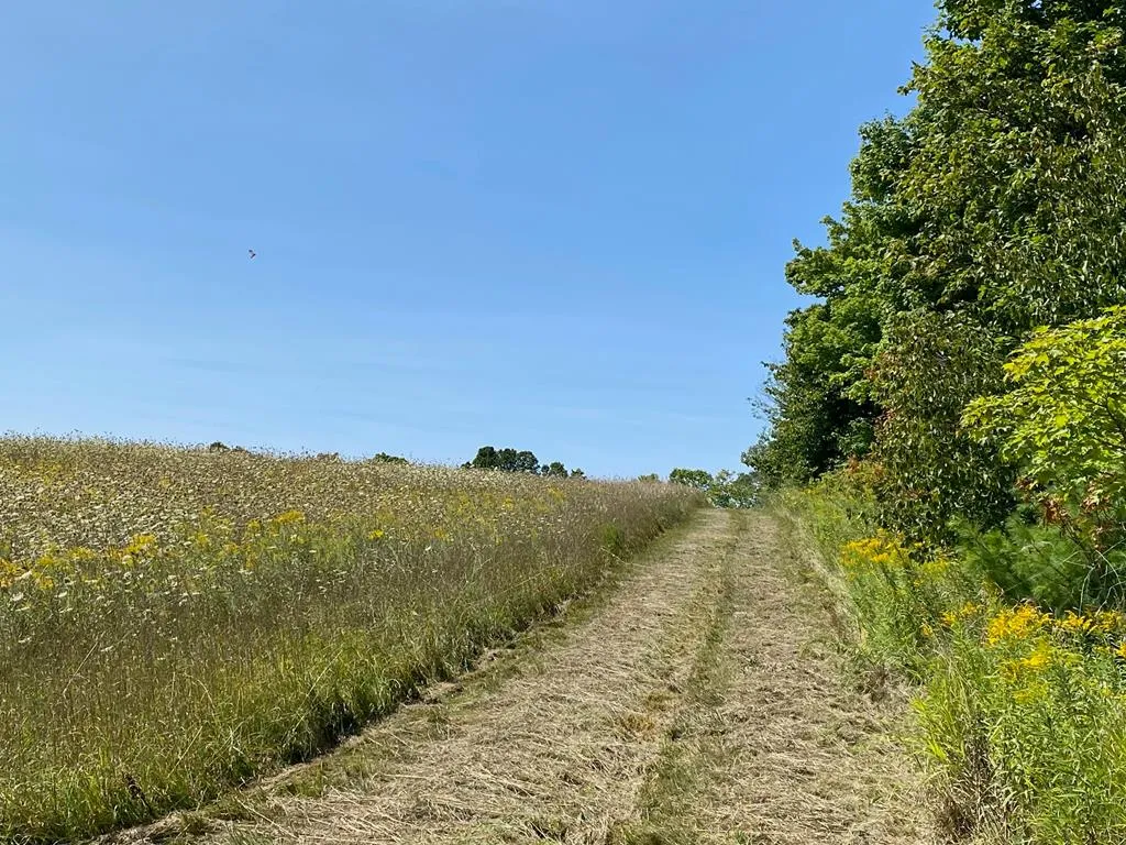 County Rd F, Fish Creek Wi 54212, ,Unimproved Land,For Sale,County Rd F,143120