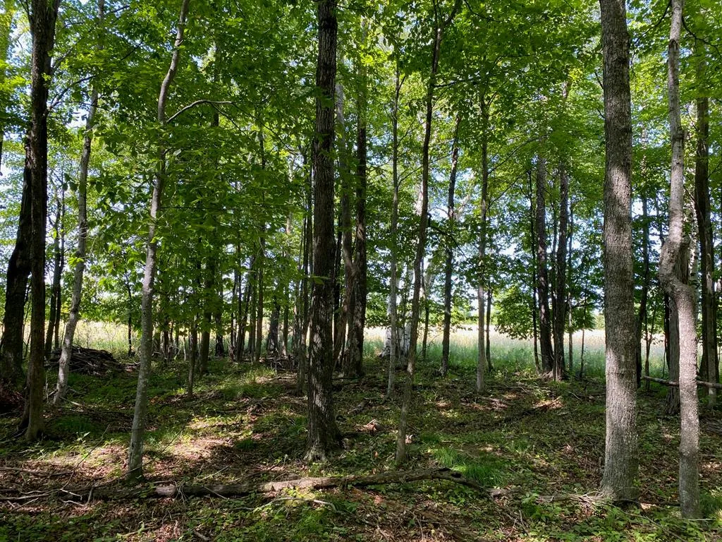 County Rd F, Fish Creek Wi 54212, ,Unimproved Land,For Sale,County Rd F,143120