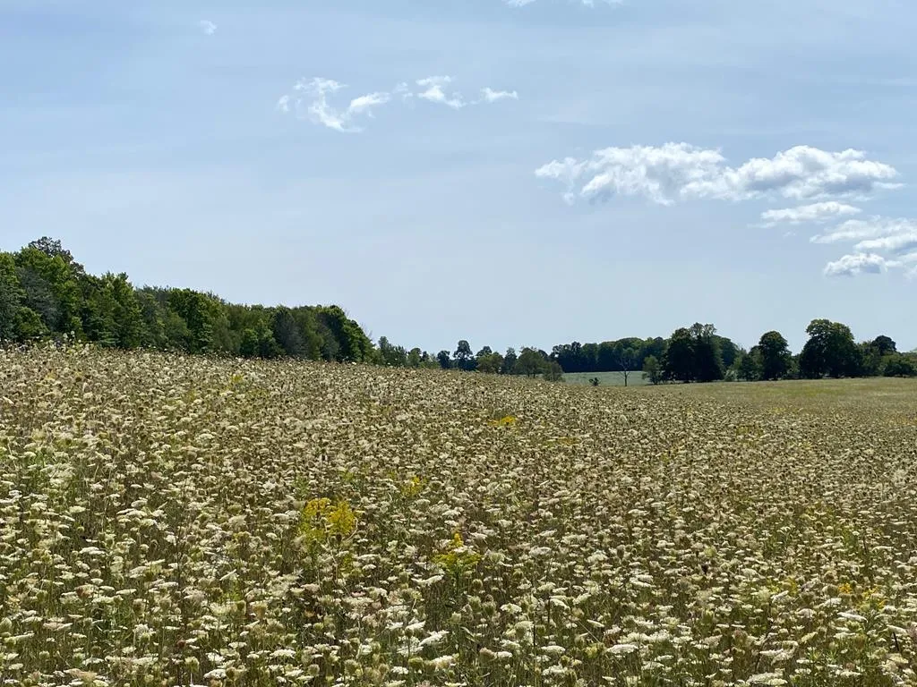 County Rd F, Fish Creek Wi 54212, ,Unimproved Land,For Sale,County Rd F,143120