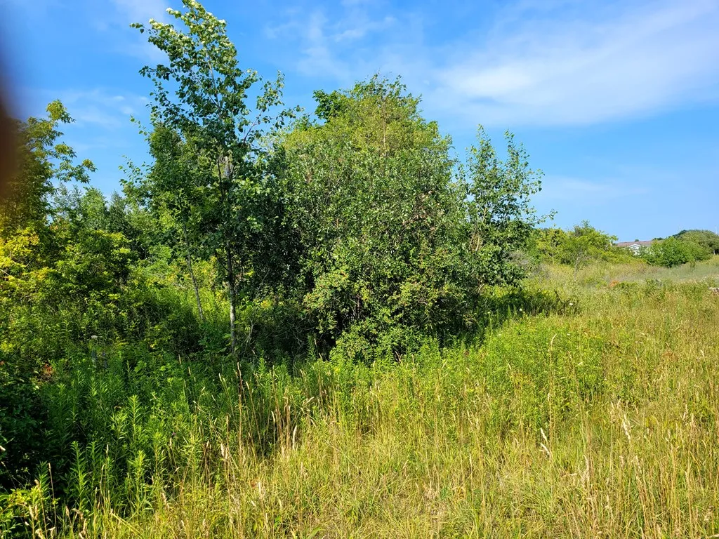 Tbd X12 Colorado Pl, Sturgeon Bay Wi 54235, ,Unimproved Land,For Sale,Colorado Pl,141923