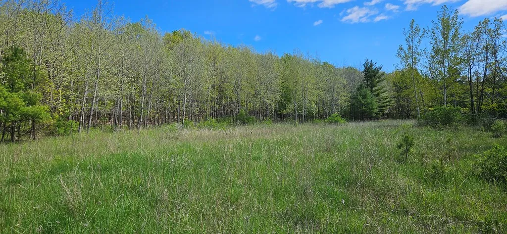 Happy Valley Rd, Sturgeon Bay, Wisconsin 54235, ,Unimproved Land,For Sale,Happy Valley Rd,144001