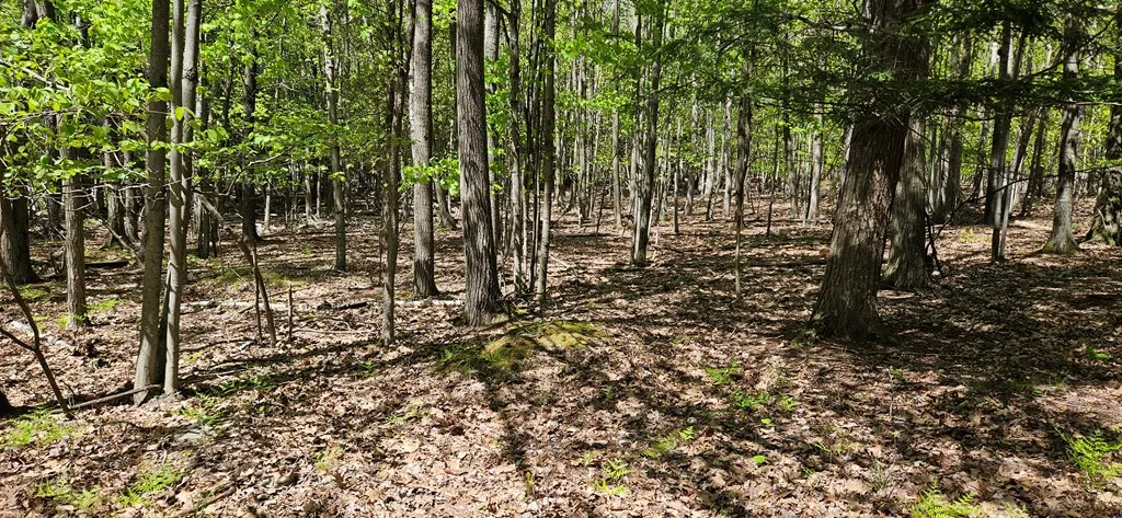 Happy Valley Rd, Sturgeon Bay, Wisconsin 54235, ,Unimproved Land,For Sale,Happy Valley Rd,144001
