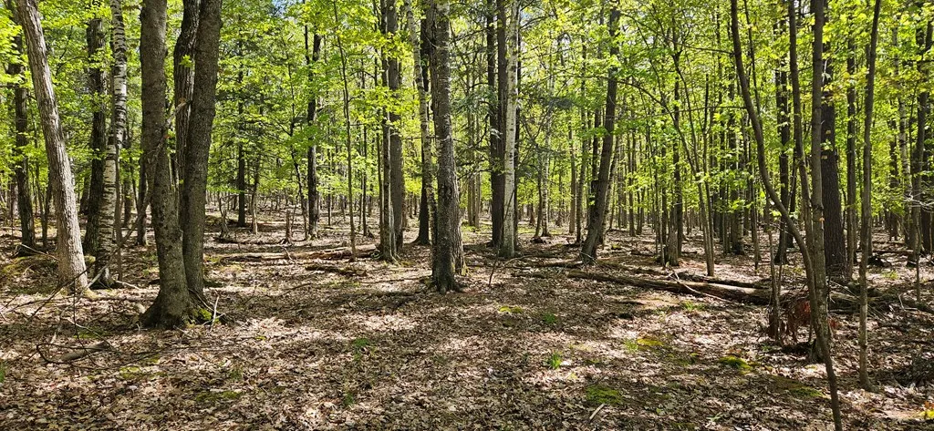 Happy Valley Rd, Sturgeon Bay, Wisconsin 54235, ,Unimproved Land,For Sale,Happy Valley Rd,144001