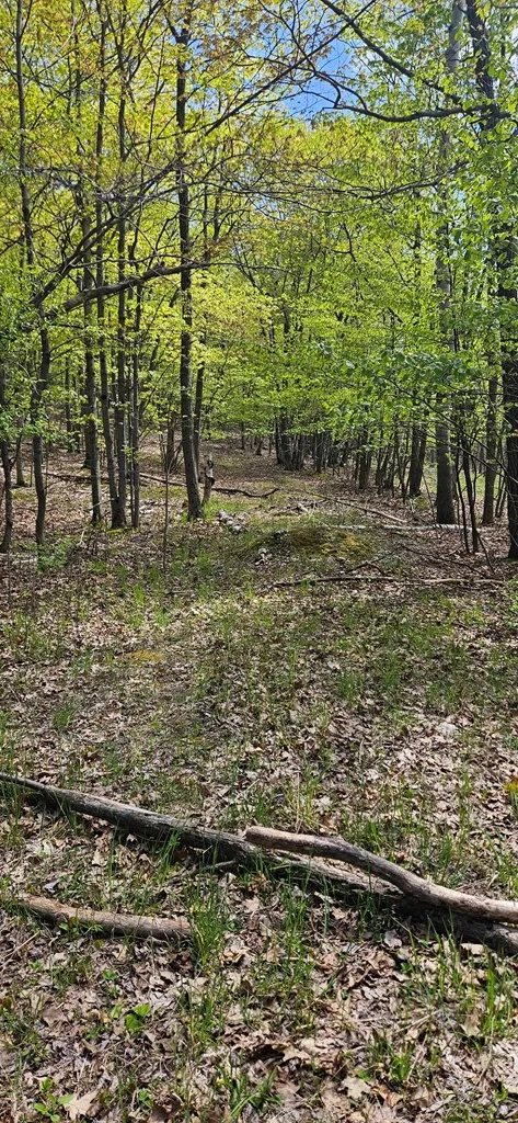 Happy Valley Rd, Sturgeon Bay, Wisconsin 54235, ,Unimproved Land,For Sale,Happy Valley Rd,144001
