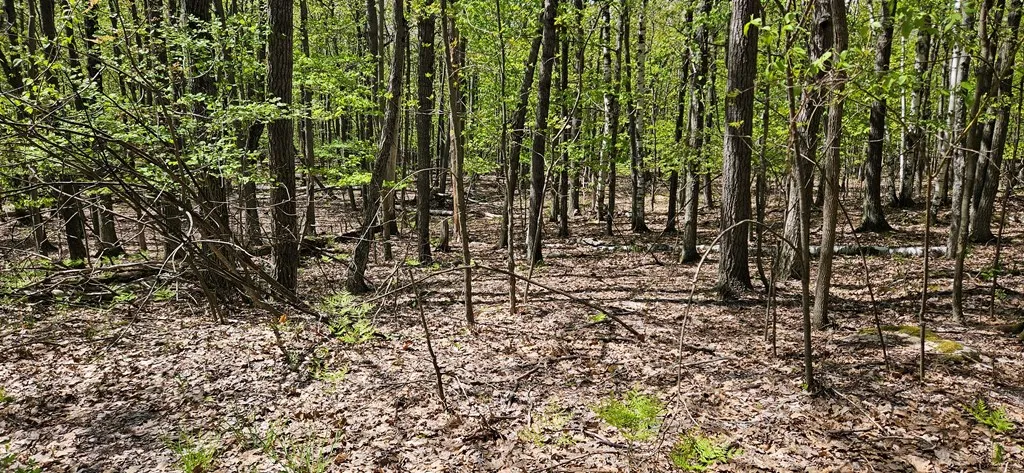Happy Valley Rd, Sturgeon Bay, Wisconsin 54235, ,Unimproved Land,For Sale,Happy Valley Rd,144001