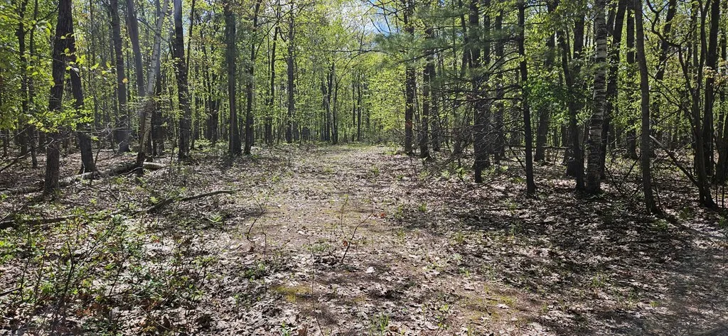 Happy Valley Rd, Sturgeon Bay, Wisconsin 54235, ,Unimproved Land,For Sale,Happy Valley Rd,144001