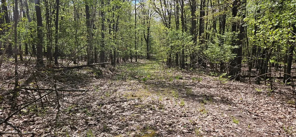 Happy Valley Rd, Sturgeon Bay, Wisconsin 54235, ,Unimproved Land,For Sale,Happy Valley Rd,144001