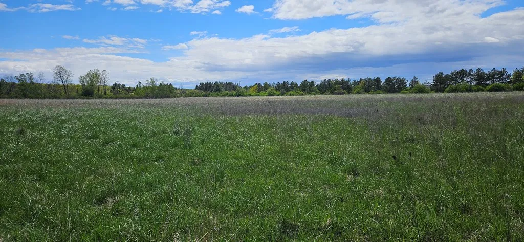 Happy Valley Rd, Sturgeon Bay, Wisconsin 54235, ,Unimproved Land,For Sale,Happy Valley Rd,144001