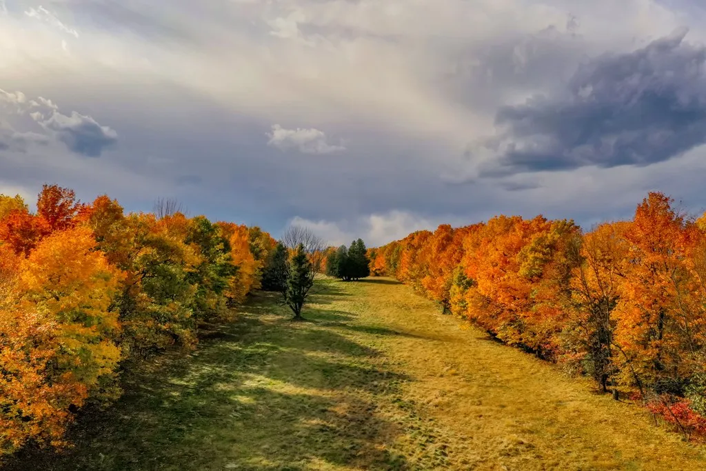 Site #4* Hillside Tr, Egg Harbor Wi 54209, ,Unimproved Land,For Sale,Hillside Tr,139235