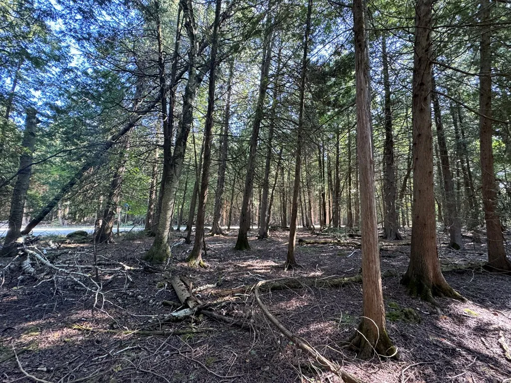 Lot 3 Point Circle Dr, Egg Harbor Wi 54209, ,Unimproved Land,For Sale,Point Circle Dr,143264