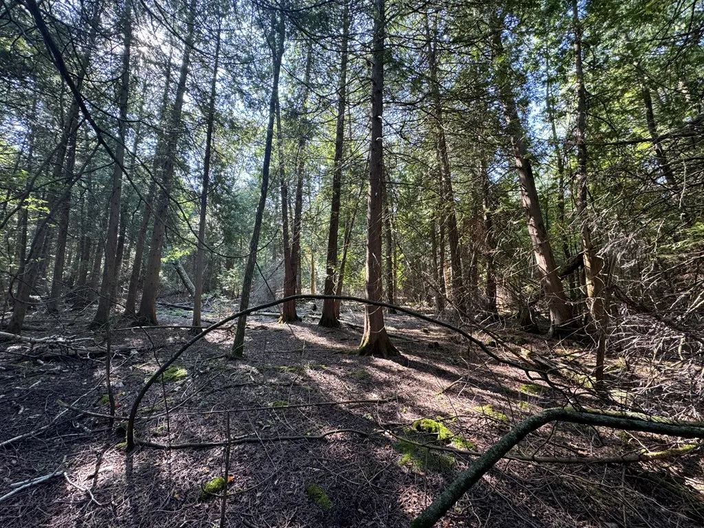 Lot 3 Point Circle Dr, Egg Harbor Wi 54209, ,Unimproved Land,For Sale,Point Circle Dr,143264