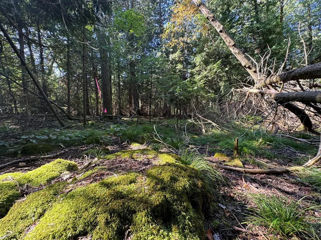 Lot 3 Point Circle Dr, Egg Harbor Wi 54209, ,Unimproved Land,For Sale,Point Circle Dr,143264